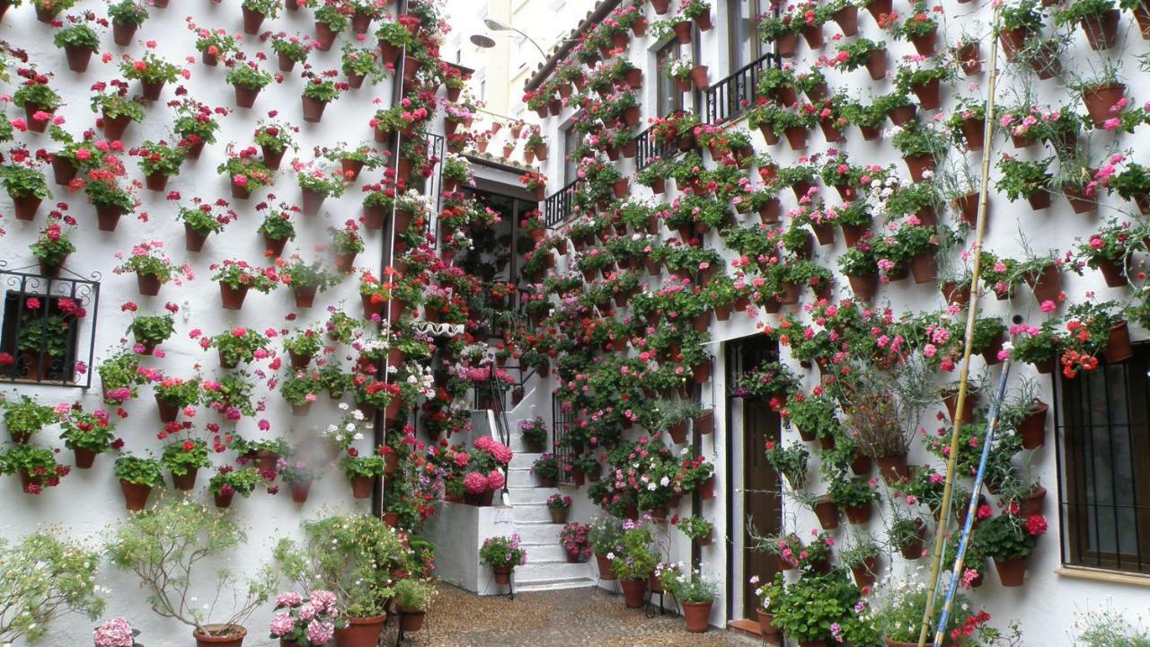 Apartmán El Balcon De La Mezquita Córdoba Exteriér fotografie